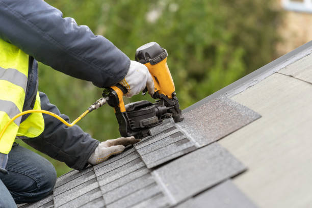 Best Roof Moss and Algae Removal  in Ottawa, IL